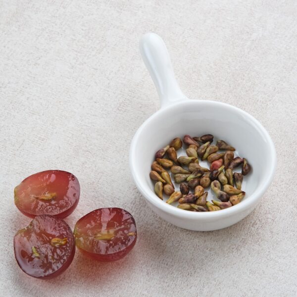 Cápsulas sin rellenos ni aditivos Earthborn Elements 200 unidades