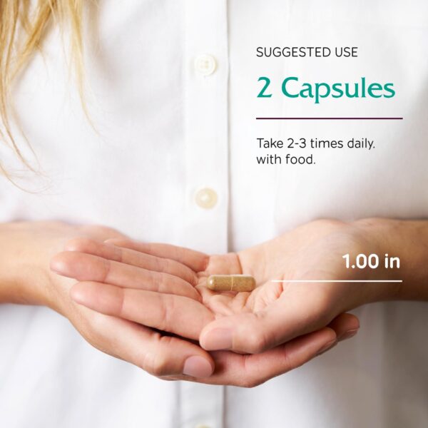 Cápsulas para soporte ovárico y hormonal Vitanica OvaBlend