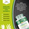 Cápsulas superfood de espirulina y chlorella con antioxidantes