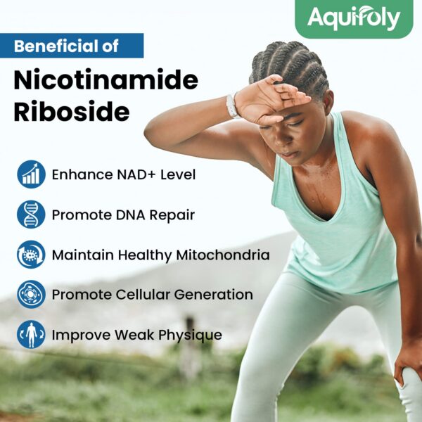 Cápsulas suplemento anti envejecimiento Aquifoly NAD+