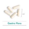 Cápsulas suplemento probiótico Nutricology Gastro Flora