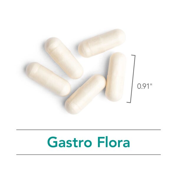 Cápsulas suplemento probiótico Nutricology Gastro Flora