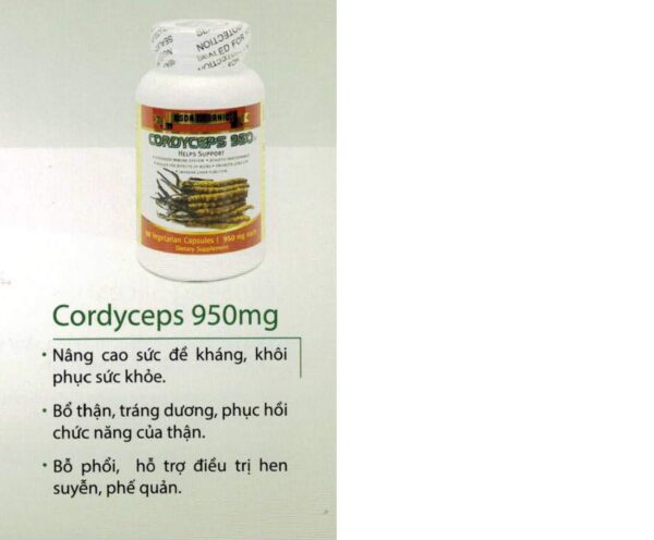 Cápsulas de suplemento Cordyceps 950 orgánico