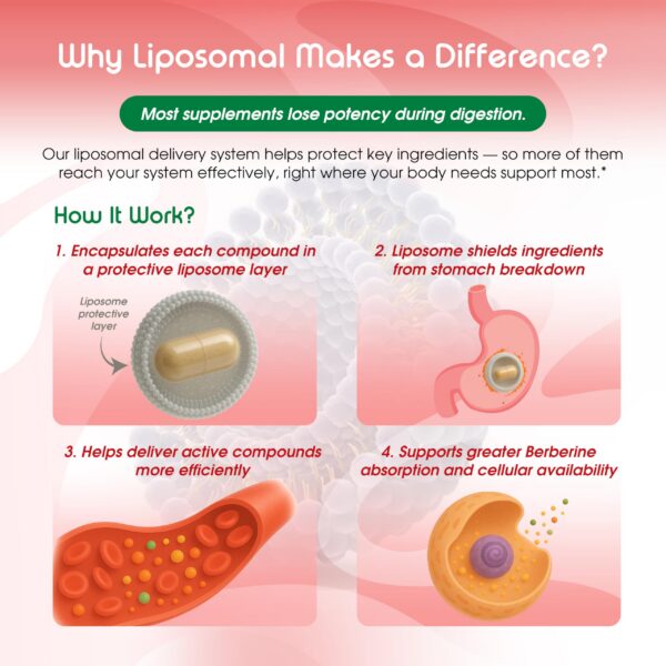 Cápsulas naturales con tecnología de absorción avanzada y pimienta negra