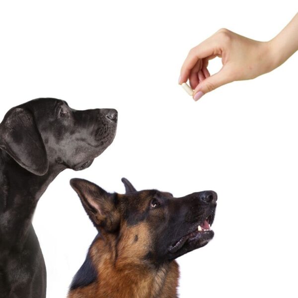 Cápsulas veganas tamaño 0 rellenable para vitaminas