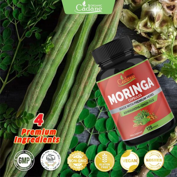 Version 1.0.0 Cápsulas veganas para apoyo inmunológico con moringa y ashwagandha