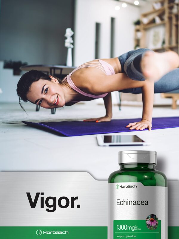 Cápsulas veganas Horbäach equinácea 1300 mg 300 unidades