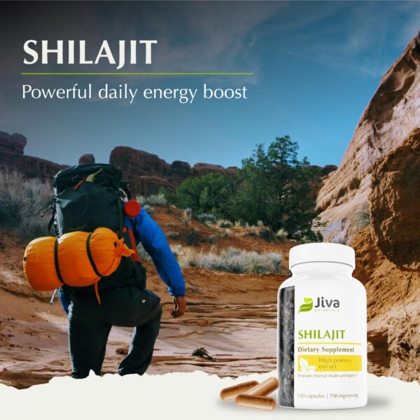 Cápsulas veganas Jiva Botanicals Shilajit