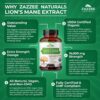 Capsulas veganas Lion's Mane extracto 20:1, salud cerebral