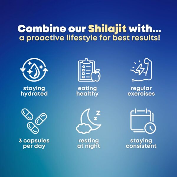 Cápsulas veganas Shilajit Himalayo SOLNUVI