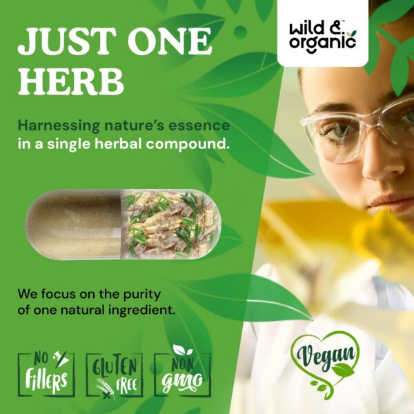 Version 1.0.0 Suplemento de raíz de Dong Quai 1000 mg para mujeres