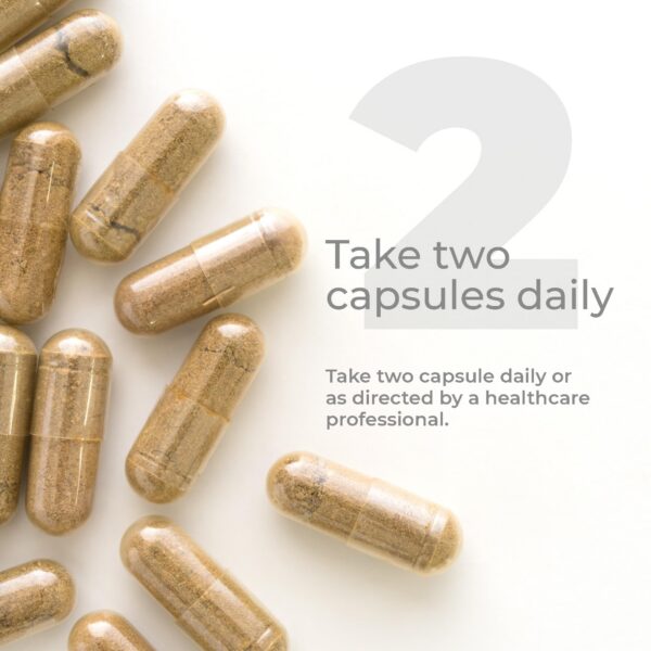 Cápsulas vegetales extracto hoja olivo para bienestar