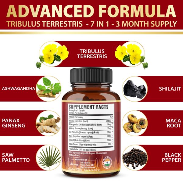 Cápsulas vegetales con extractos de plantas para energía