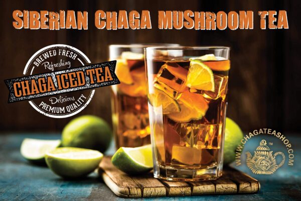 Té Chaga natural con brotes de abedul en primer plano