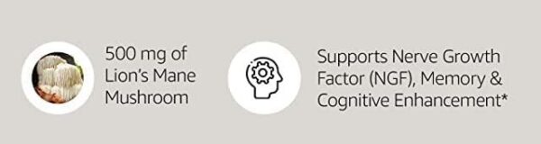 Cápsulas vegetarianas Melena de León apoyo cognitivo y mental