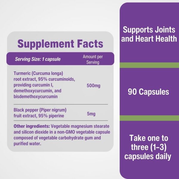 Cápsulas vegetarianas New Roots cúrcuma
