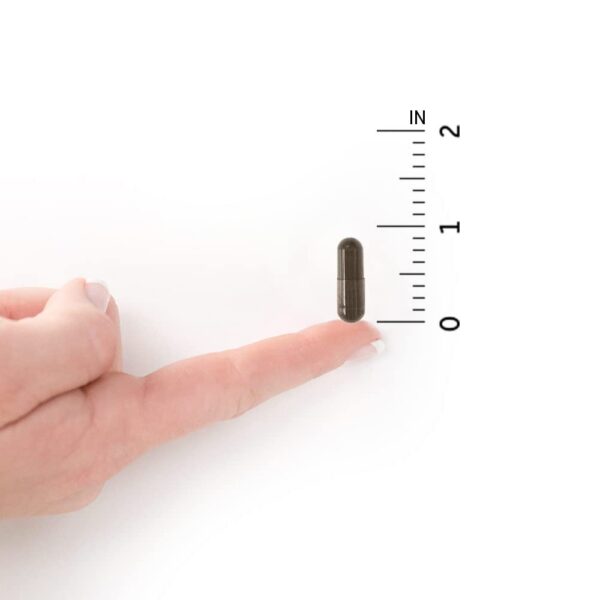 Panel nutricional Garden of Life Primal Defense Ultra