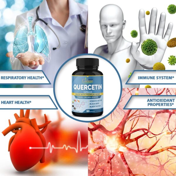 Cápsulas vegetarianas suplemento de quercetina 2 packs 120 unidades