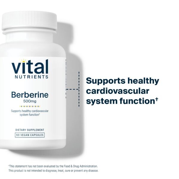 Cápsulas Vital Nutrients berberina pura y certificada