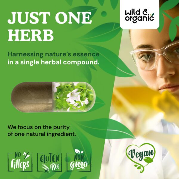 Cápsulas Wild & Organic para mejorar concentración y memoria