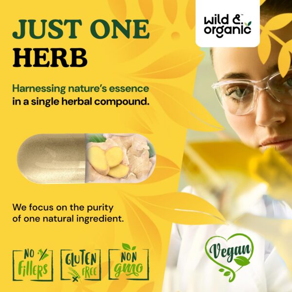 Frasco y cápsulas de Wild & Organic jengibre raíz polvos 1200 mg