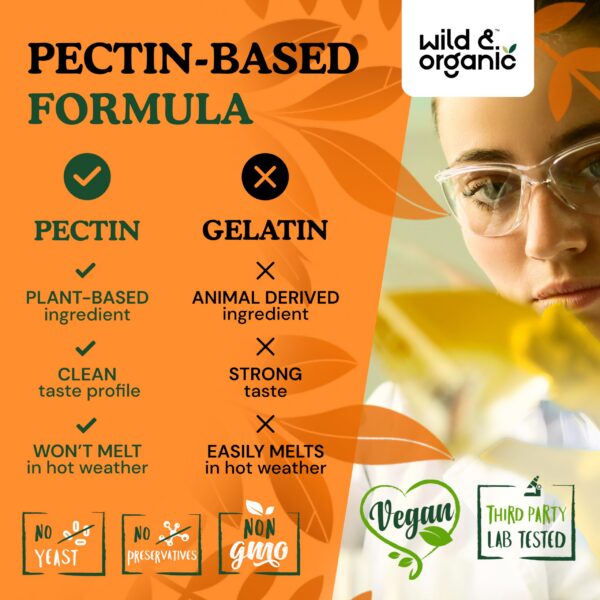 Caramelos masticables Wild Organic Reishi en ambiente natural