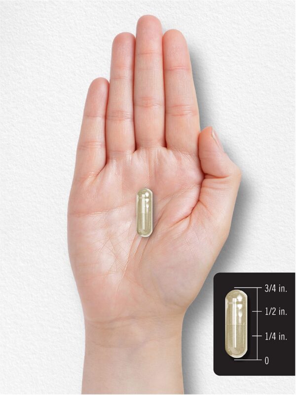 Empaque con garantía Carlyle