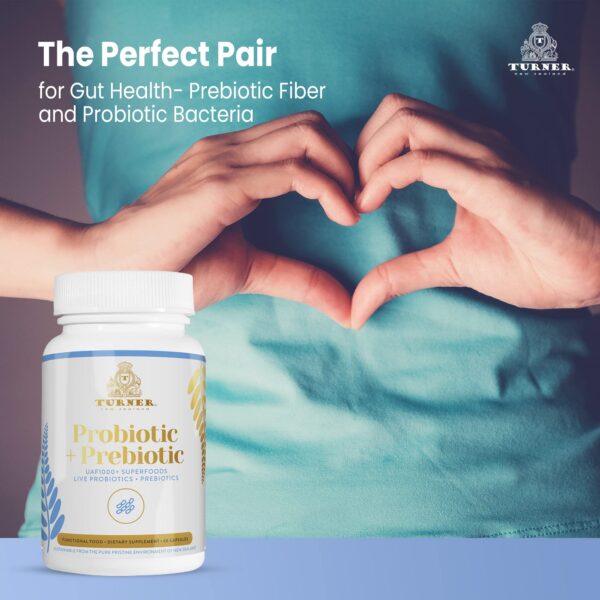 Version 1.0.0 Cartón envolvente paquete de 2 TURNER probióticos Nueva Zelanda