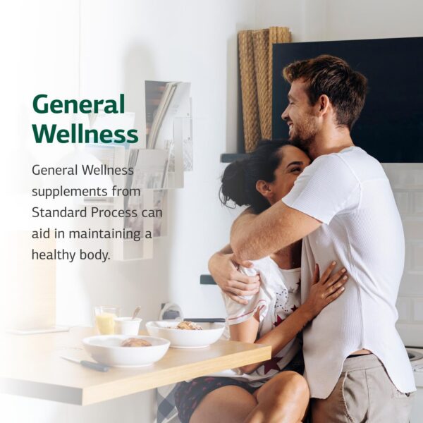 Version 1.0.0 Etiqueta trasera de Catalyn