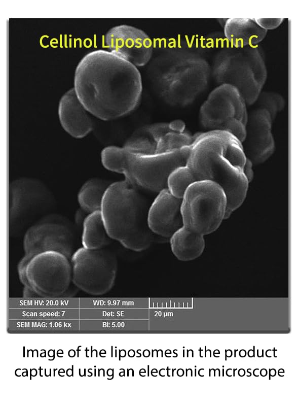 Presentación detallada del producto