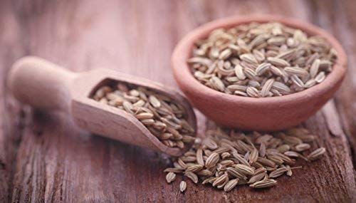 Version 1.0.0 Cedar Bear suplemento estomacal sin conservadores