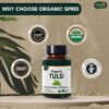 Cerrado paquete de 2 tabletas Tulsi Organic Spree para bienestar
