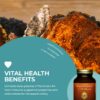 Chaga HealthForce SuperFoods sin gluten