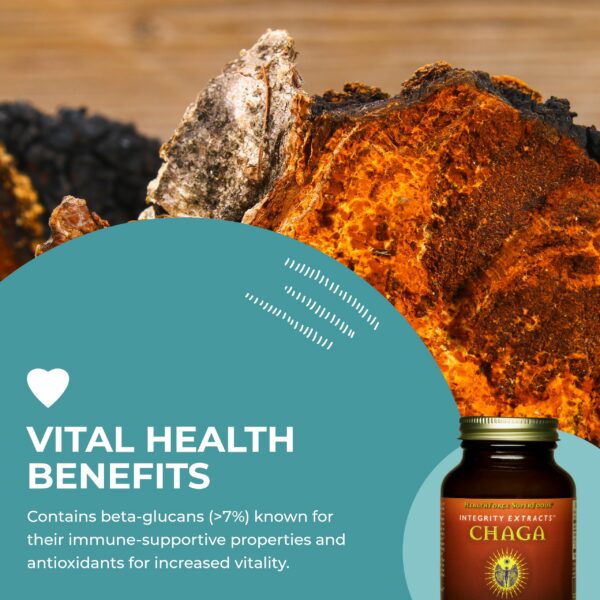 Chaga HealthForce SuperFoods sin gluten