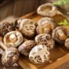 Champiñón Shiitake seco ahorra tiempo y dinero