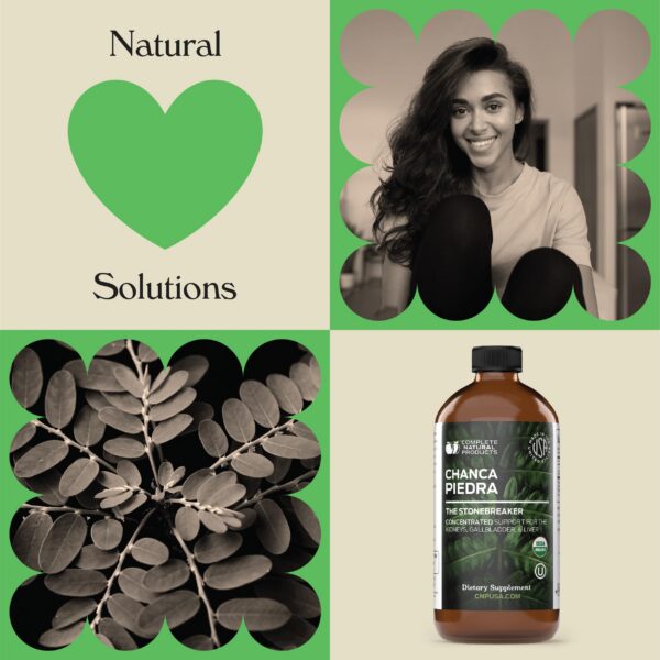 Chanca Piedra líquido orgánico Phyllanthus Niruri detox natural