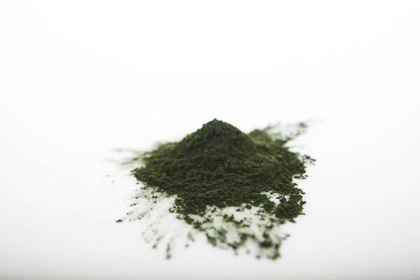 Chlorella en polvo para uso en batidos y ensaladas