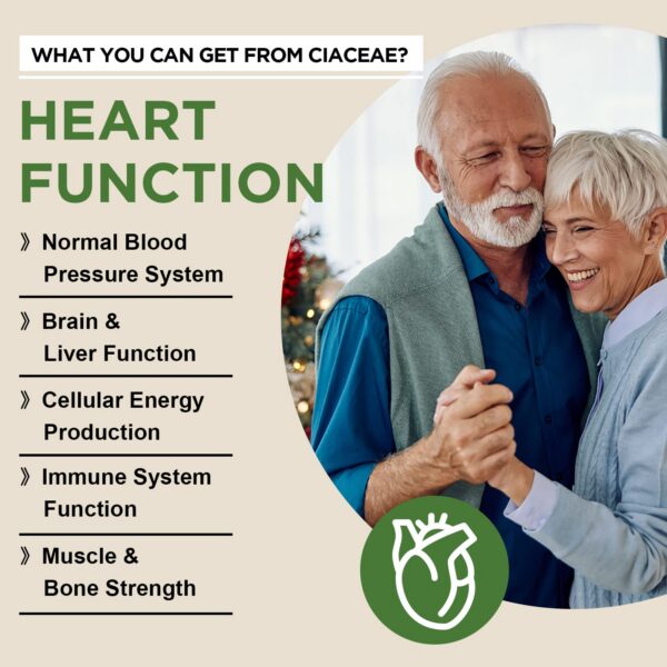 Descripcion de producto CoQ10