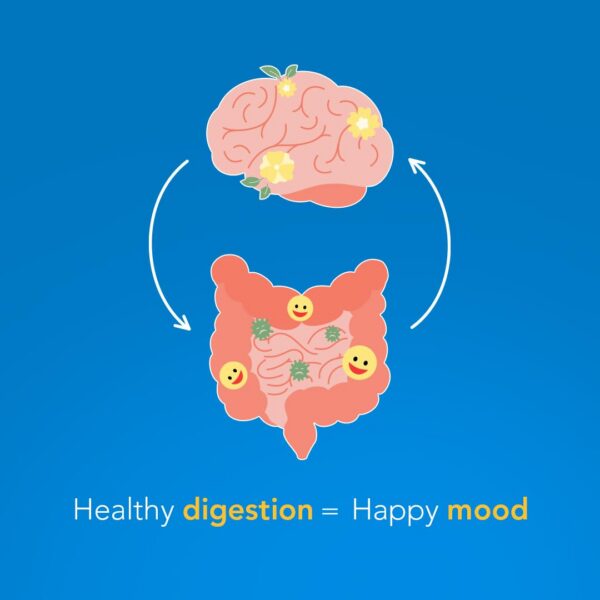 Version 1.0.0 Cierre de tapa y etiqueta