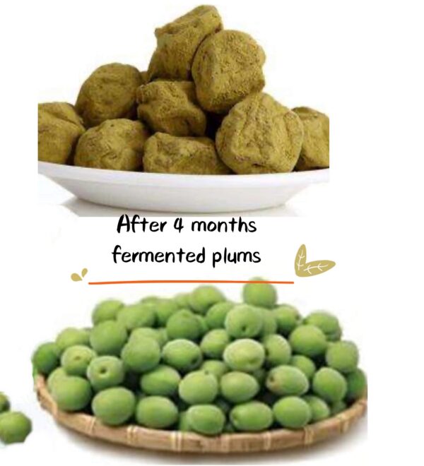 Ciruelas fermentadas japonesas antioxidantes y probióticos