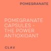Cápsulas de CLAV Pomegranate Extract