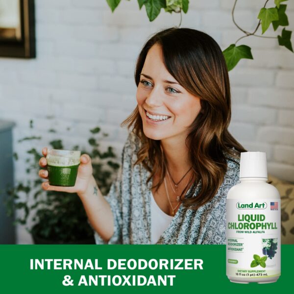 Detalles jugo aloe vera Land Art y clorofila líquida