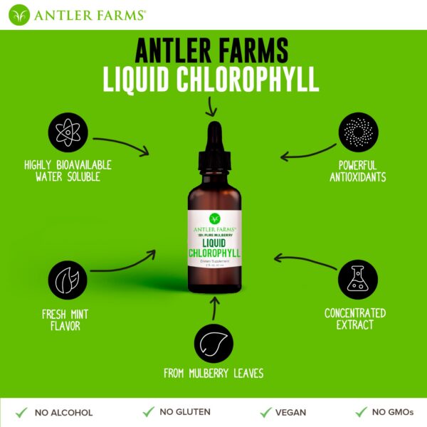 Clorofila liquida super potente Antler Farms gotas sabor menta