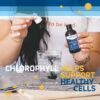 Clorofila Trace Minerals ayuda a salud celular y mineral corporal