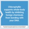 Clorofilina para salud y detox celular Life Extension cápsulas