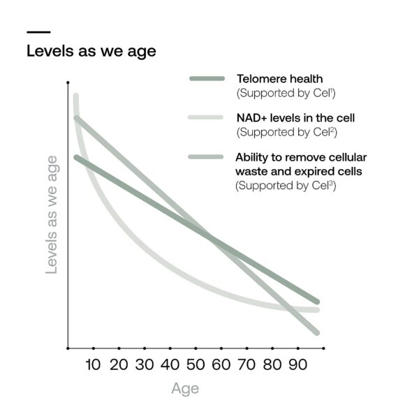 Version 1.0.0 Cómo usar SRW Cel³ Renewal