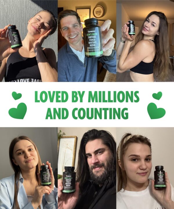 Complejo hongos 5 en 1 DMoose para memoria enfoque y energía