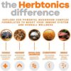 Version 1.0.0 Complexo de hongos súper potente Herbtonics para apoyo cerebral