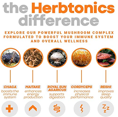 Version 1.0.0 Complexo de hongos súper potente Herbtonics para apoyo cerebral