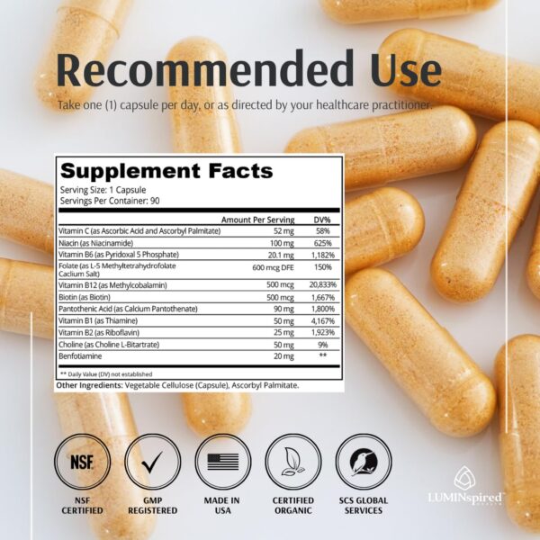 Version 1.0.0 Complejo de Vitamina B para metabolismo y sistema nervioso